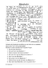 Blässhuhn.pdf
